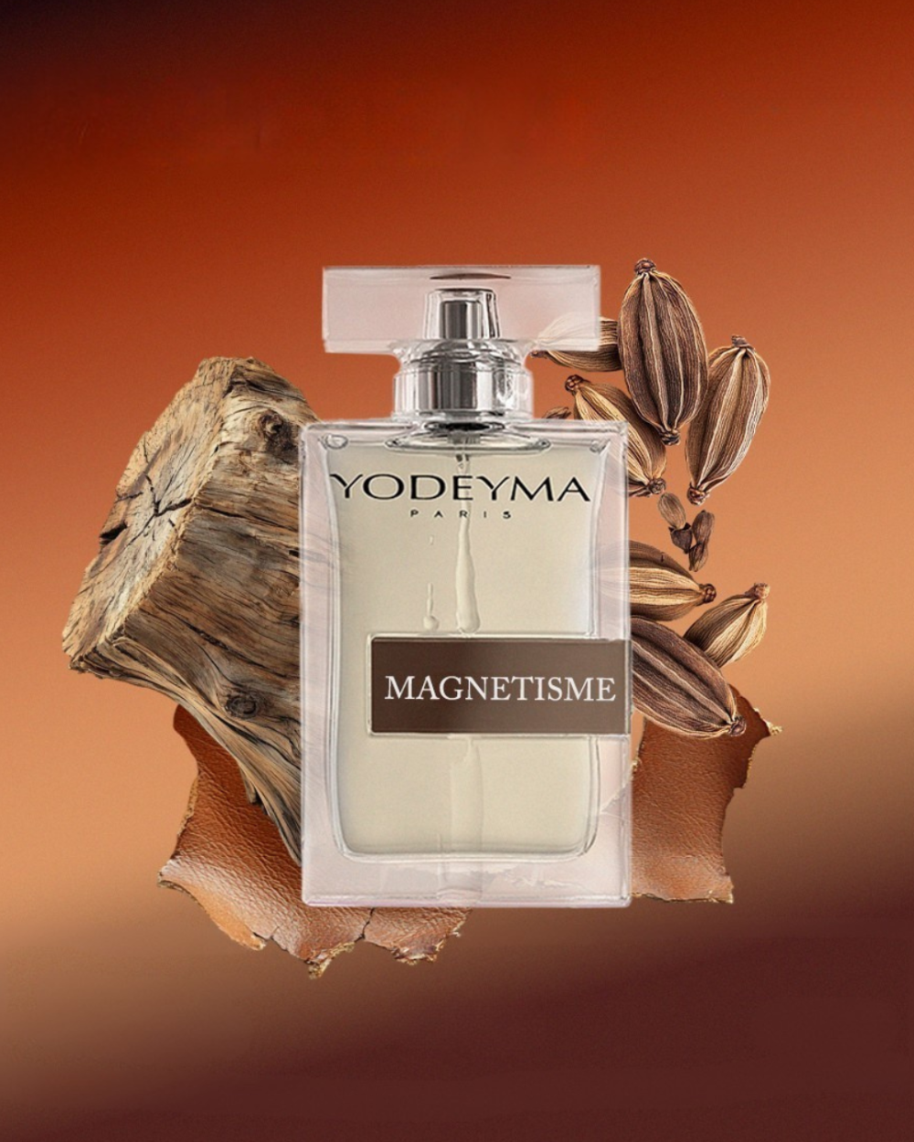 Magnetismo